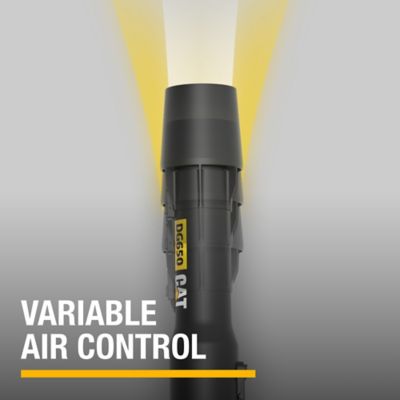 Image showing 6 th CAT 170 MPH/800 CFM 60V Cordless Handheld Leaf Blower, Battery and Charger Included