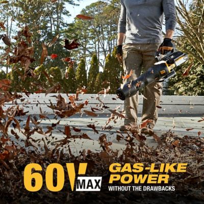 Image showing 9 th CAT 170 MPH/800 CFM 60V Cordless Handheld Leaf Blower, Battery and Charger Included