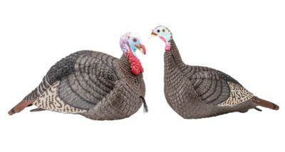 Hunters Specialties Strut-Lite Jake/Hen Decoy Combo Pack