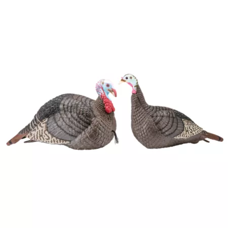 Hunters Specialties Strut-Lite Jake/Hen Lure Combo Pack Turkey Decoys