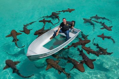 Image showing  4 in. x 25 ft. Flex Tape MAX Strong Rubberized Waterproof Tape, Clear, 3-Pack