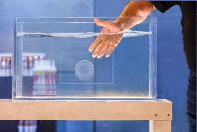 Image showing  9 oz. Flex Glue Clear Pro-Formula Strong Rubberized Waterproof Adhesive, 6-Pack