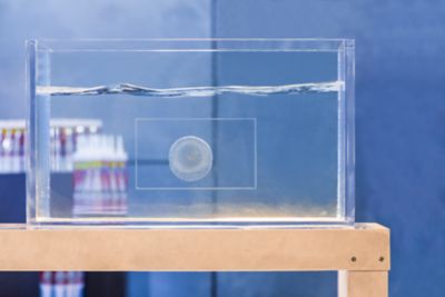 Image showing  9 oz. Flex Glue Clear Pro-Formula Strong Rubberized Waterproof Adhesive, 6-Pack