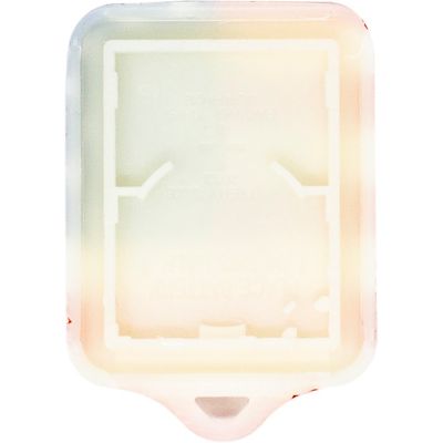 Image showing  Ford Keyless Entry Remote Case with 3 Buttons, US Flag