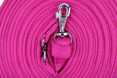Soft Cushioned Webbing Lunge Line 8M