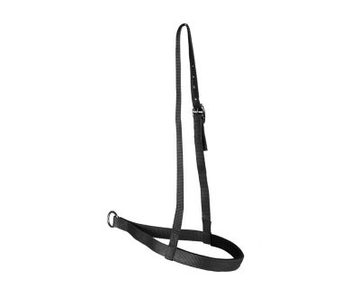 Image showing  Lightweight Nylon Tie-Down Noseband with Premium Breathable Neoprene Padding