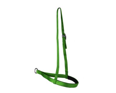 Image showing  Lightweight Nylon Tie-Down Noseband with Premium Breathable Neoprene Padding