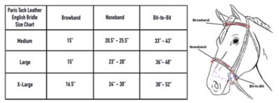 Image showing  Square Raised Crown Padded Fancy-Stitched Bridle with Flash and Laced Reins