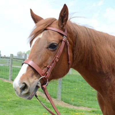 Image showing  Classic Flat Leather English Hunter Bridle with Laced Reins