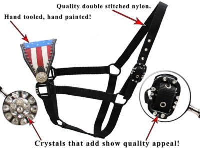 Image showing  Tahoe Tack Patriotic Hand-Painted American Flag Nylon Bronc Halter with Crystals