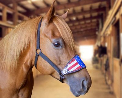 Image showing  Tahoe Tack Patriotic Hand-Painted American Flag Nylon Bronc Halter with Crystals