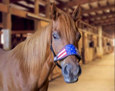 Image showing  Tahoe Tack Patriotic Hand-Painted American Flag Nylon Bronc Halter with Crystals