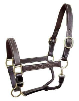 Paris Tack Leather Derby Originals Liverpool Padded Fancy-Stitched Adjustable Horse Halter