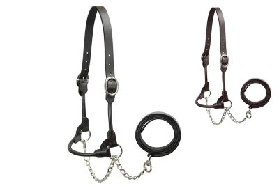 Derby Originals Rolled Leather Round Cow Show Halter with Lead