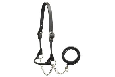 Image showing  Rolled Leather Round Cow Show Halter with Lead
