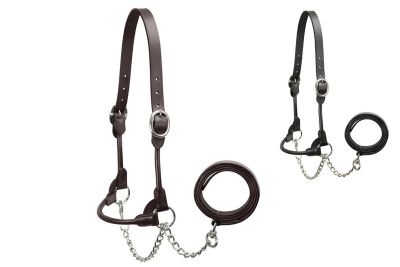 Image showing  Rolled Leather Round Cow Show Halter with Lead