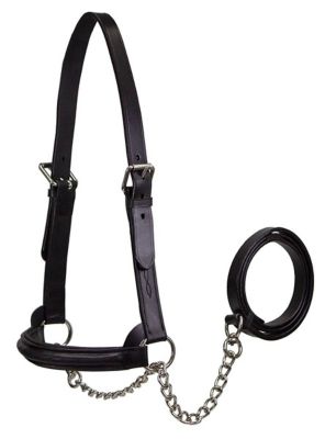 Derby Originals Raised Fancy-Stitched Cow Leather Show Halter with Lead