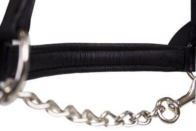 Image showing  Raised Fancy-Stitched Cow Leather Show Halter with Lead