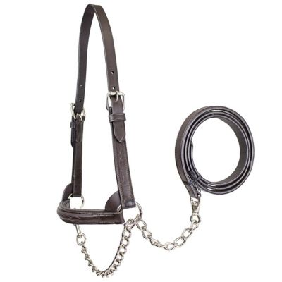 Derby Originals Raised Fancy-Stitched Cow Leather Show Halter with Lead