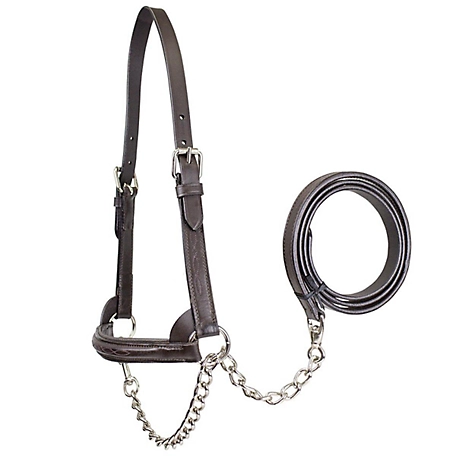 Derby Originals Leather Raised Fancy-Stitched Cow Show Halter with Lead
