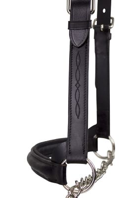 Image showing  Raised Fancy-Stitched Cow Leather Show Halter with Lead