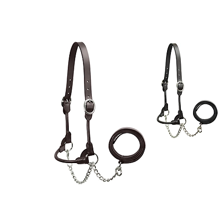 Derby Originals Flat Fancy-Stitched Leather Show Halter for Cows with Lead
