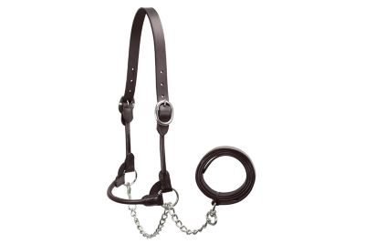 Image showing  Flat Fancy-Stitched Leather Show Halter for Cows with Lead