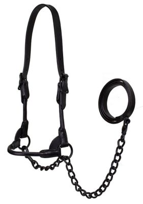 Derby Originals Leather Round Rolled Show Halter for Cows with Lead, All Black