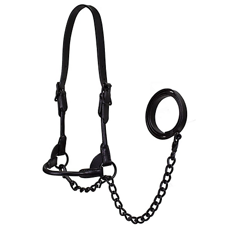 Derby Originals Leather Round Rolled Show Halter for Cows with Lead, All Black