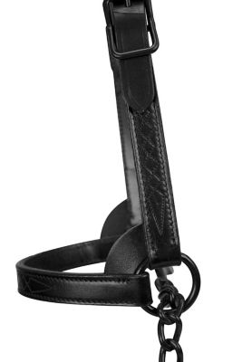 Image showing  Fancy-Stitched Leather Show Halter for Cows with Lead, All Black