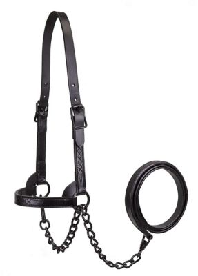 Derby Originals Fancy-Stitched Leather Show Halter for Cows with Lead, All Black