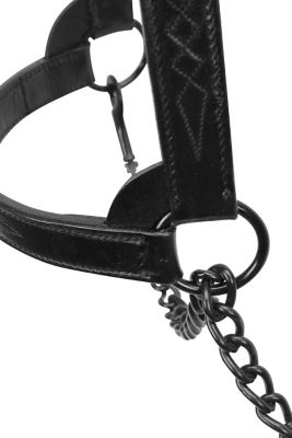 Image showing 4 th Derby Originals Fancy-Stitched Leather Show Halter for Cows with Lead, All Black