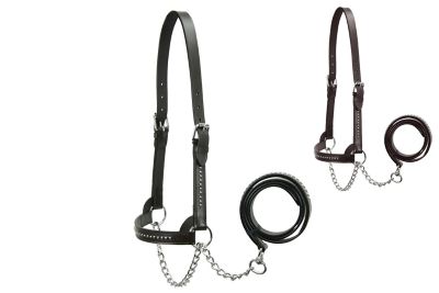 Derby Originals Leather with Stainless-Steel Spots Show Halter for Cows with Lead