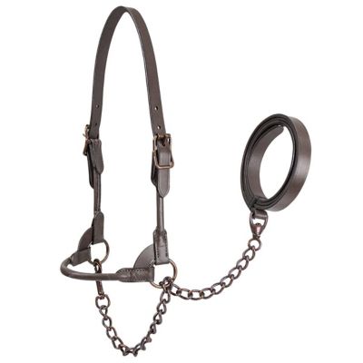 Derby Originals Leather Bronze Beauty Round Rolled Show Halter for Cows with Lead