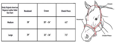 Image showing  Leather Bristol Triple-Stitched Track Horse Halter