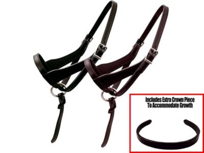 Paris Tack Grow-with-Me Adjustable Foal Leather Horse Halter