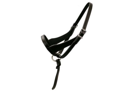 Image showing  Grow-with-Me Adjustable Foal Leather Horse Halter