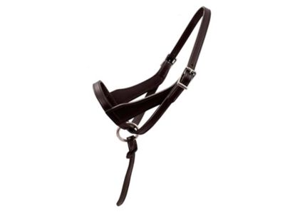 Image showing  Grow-with-Me Adjustable Foal Leather Horse Halter