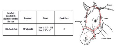 Image showing  Grow-with-Me Adjustable Foal Leather Horse Halter