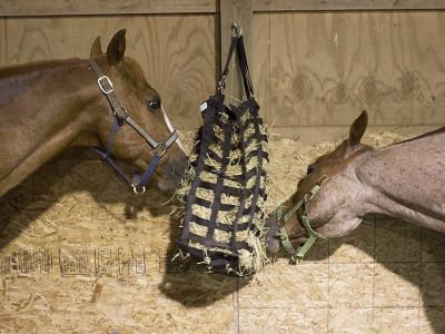 Image showing  2-3 Flake Supreme Slow Feeder Horse Hay Bag with Super Tough Bottom
