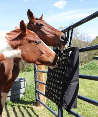 Image showing  Ultra Slow Feeder Horse Hay Bag with Super Tough Bottom