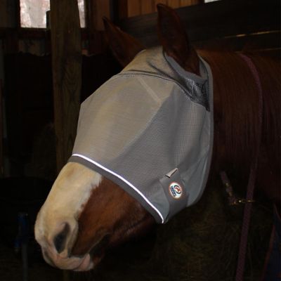 Image showing  Reflective Trim Horse Mesh Fly Mask without Ears