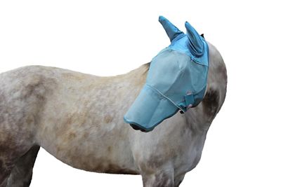 Image showing  Reflective Horse Fly Mask with Ears and Nose