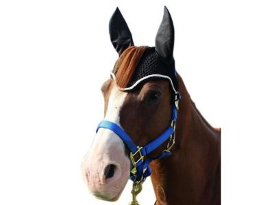 Image showing  Derby Originals Comfort Show Crochet Pony Ear Net