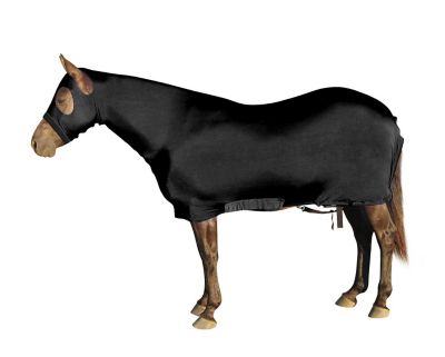 Image showing  Lycra Full Body Horse Sheet with Neck Cover