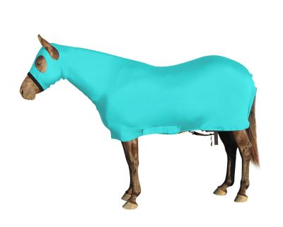 Image showing  Lycra Full Body Horse Sheet with Neck Cover