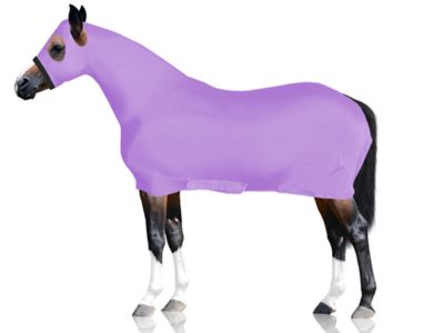 Image showing  Lycra Full Body Horse Sheet with Neck Cover