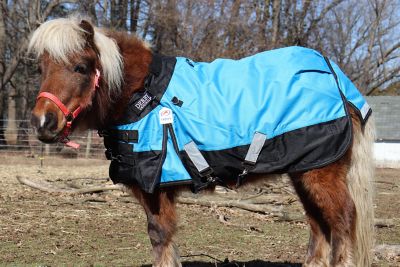 Image showing 5 th Derby Originals Nordic-Tough 1200D Ripstop Waterproof Winter Miniature Horse/Pony Turnout Blanket, Heavyweight, 300g