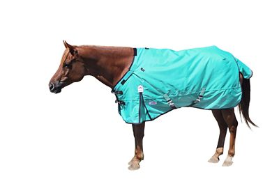 Product color Turquoise