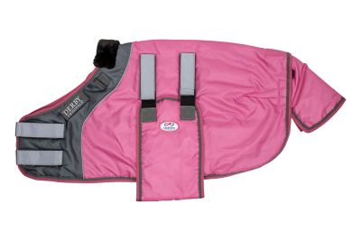 Image showing  No Hardware 150g/420D Nylon Mediumweight Winter Foal/Miniature Horse Stable Blanket